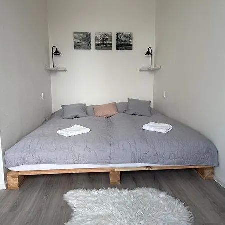 Cozy Near The Center * Plzen